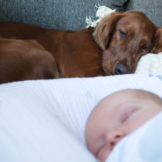 baby en hond