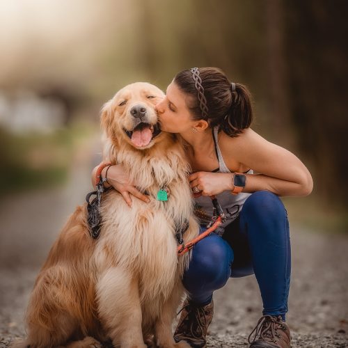gelukkige hond Gelukkige hond