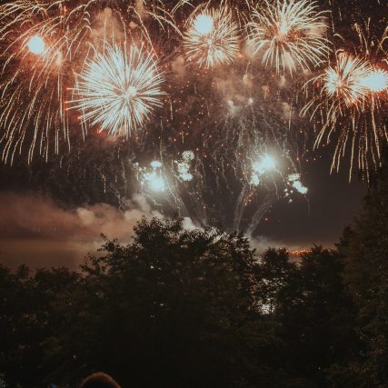 hond bang voor vuurwerk geluid hond bang voor vuurwerk geluid